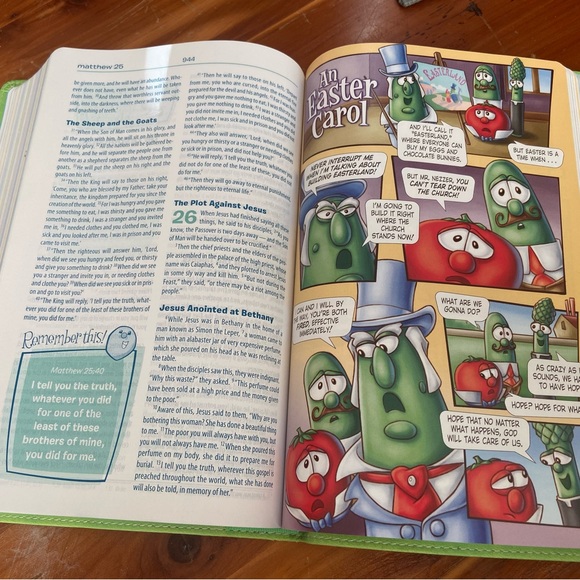 Bible NIV, The VeggieTales - Picture 4 of 6